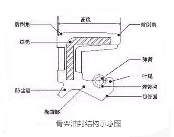 骨架油封结构示意图