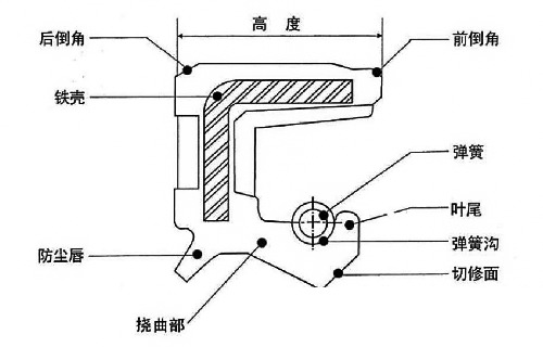 骨架油封結構圖